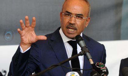 Bedoui appelle à voter en force pour «barrer la route aux détracteurs de l’Algérie»
